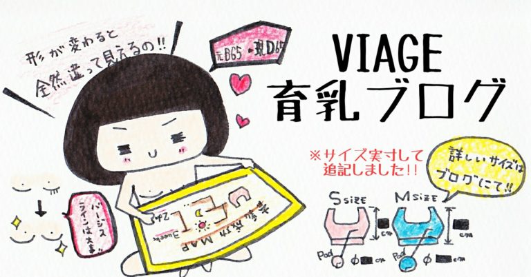 VIAGE　Bカップ　B65　育乳　写真　ブログ　レポ